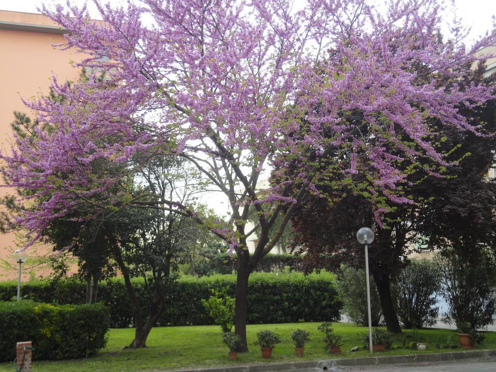 Cisanello House Hotel Pisa Luaran gambar